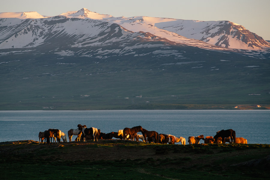 iceland_islande_kristapshercs-143