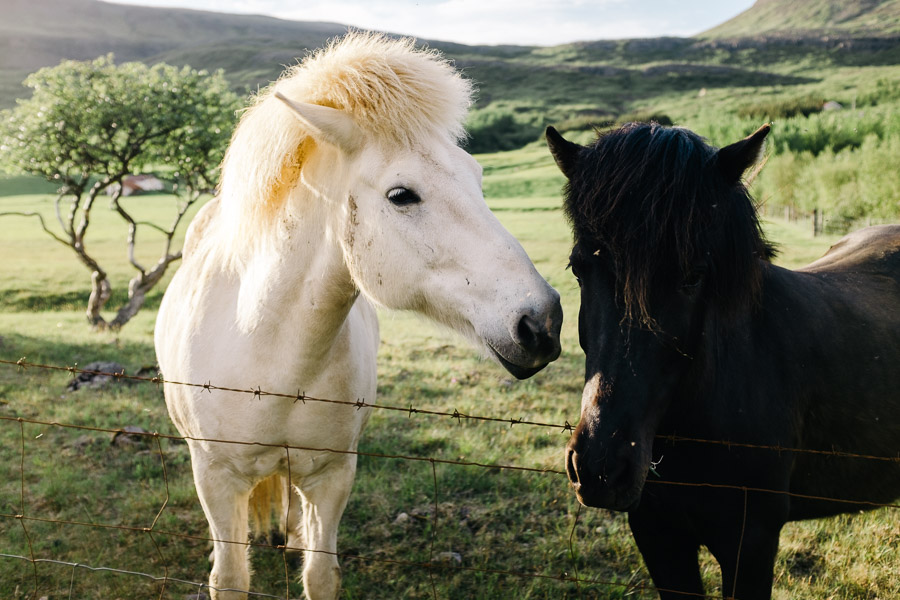 iceland_islande_kristapshercs-178