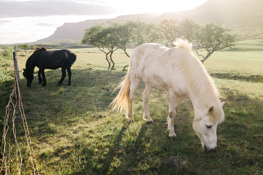 iceland_islande_kristapshercs-179