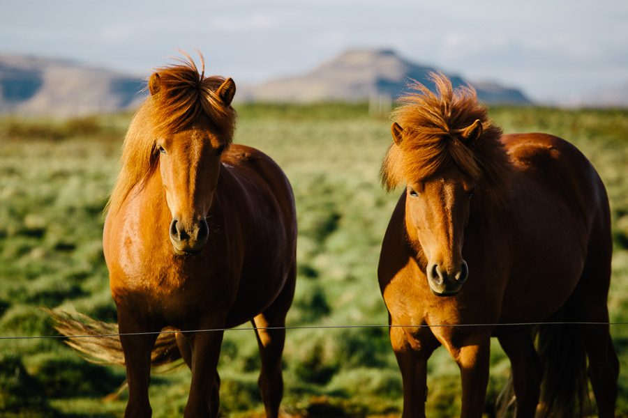 iceland_islande_kristapshercs-58