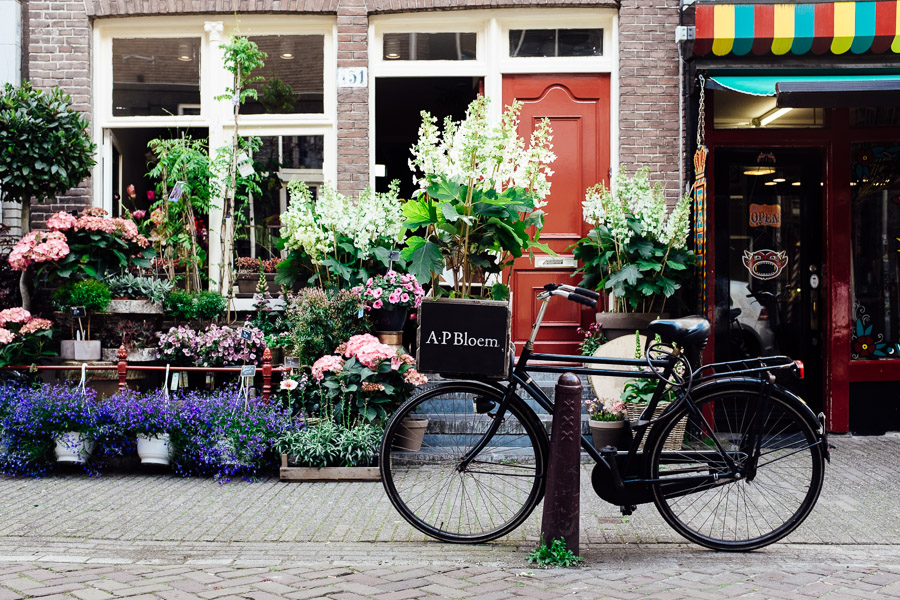 netherlands_x100t_kristaps_hercs-22