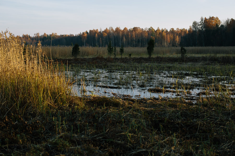 saulriets kaņiera ezers