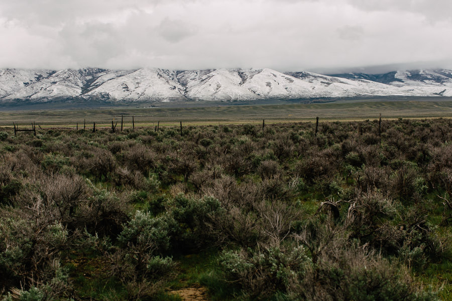 nevada interstate