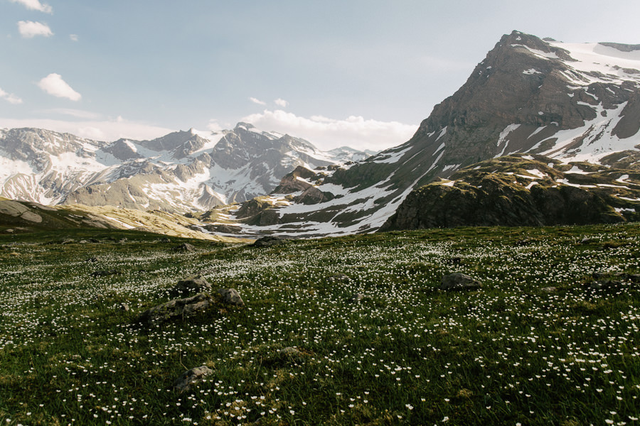 spring in alps