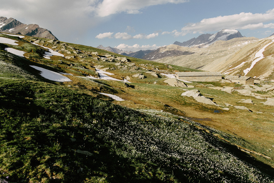 alps spring